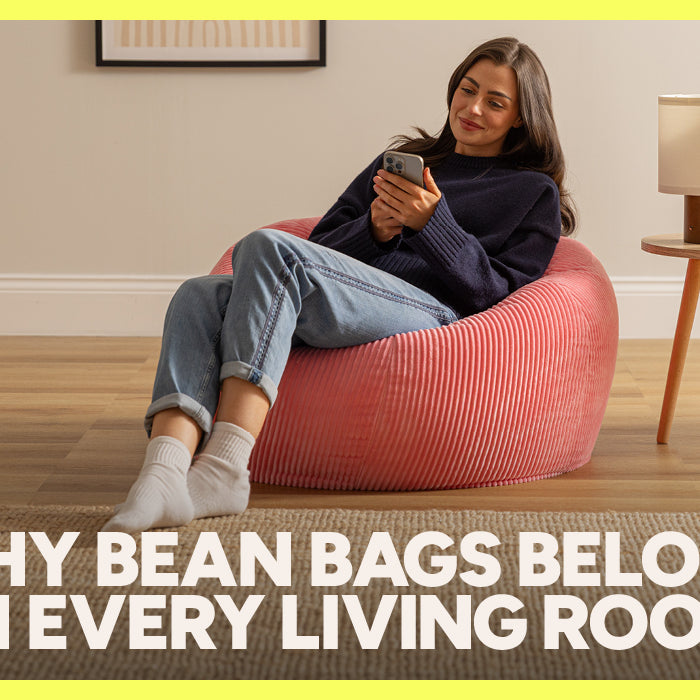Why Bean Bags Belong in Every Living Room
